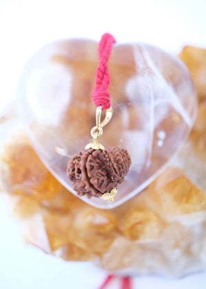 Garbh Gauri Rudraksha 18k Gold pendant | Rare Collectors Nepal bead