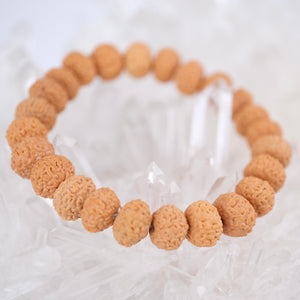 TEMPLE Collection: all Goodness & Luck VISHNU | Finest Indonesian 10 Mukhi bracelet