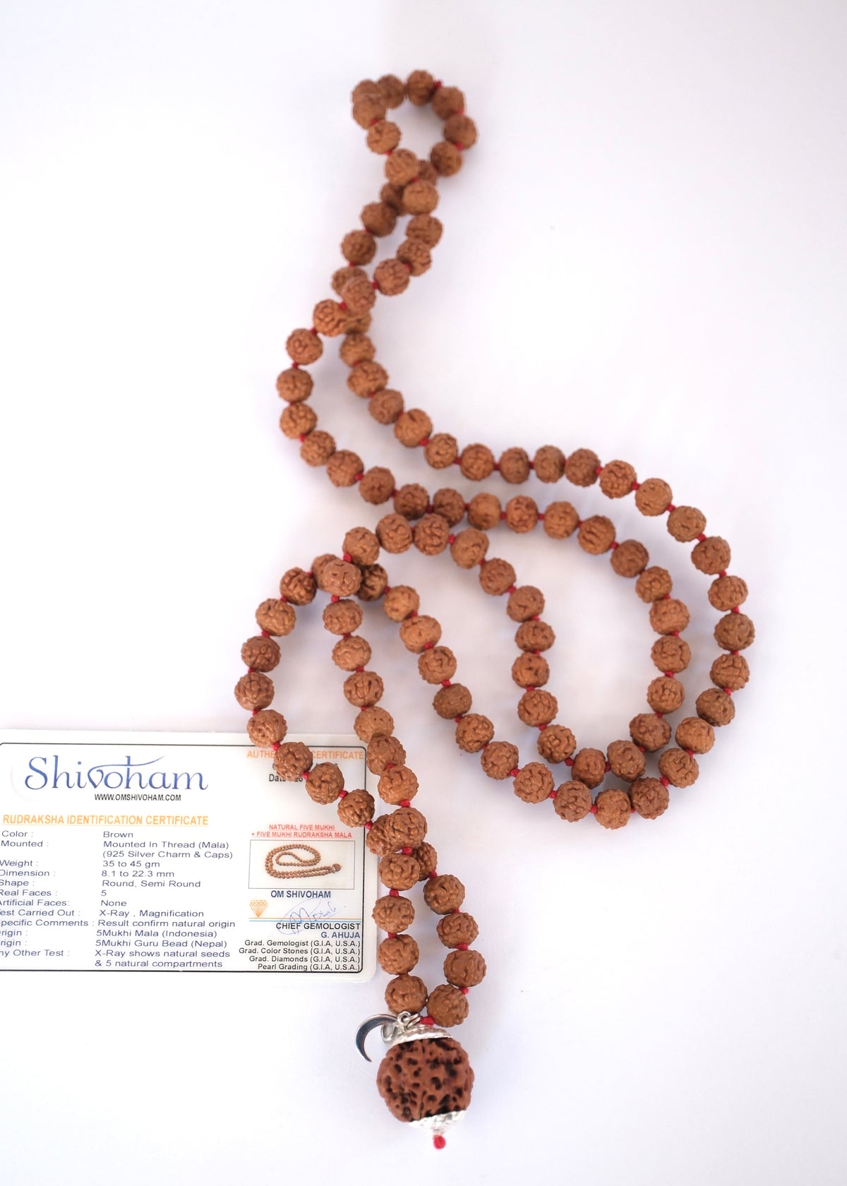 Macro close-up of natural, deep-grooved 5 Mukhi Nepali Rudraksha seeds on the SHIVOHAM Japa Mala.