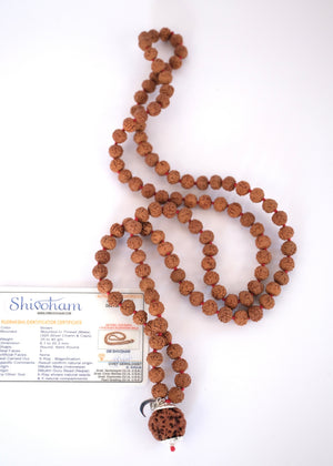 Sacred Nepal 5 Mukhi Rudraksha mala with guarantee certificate