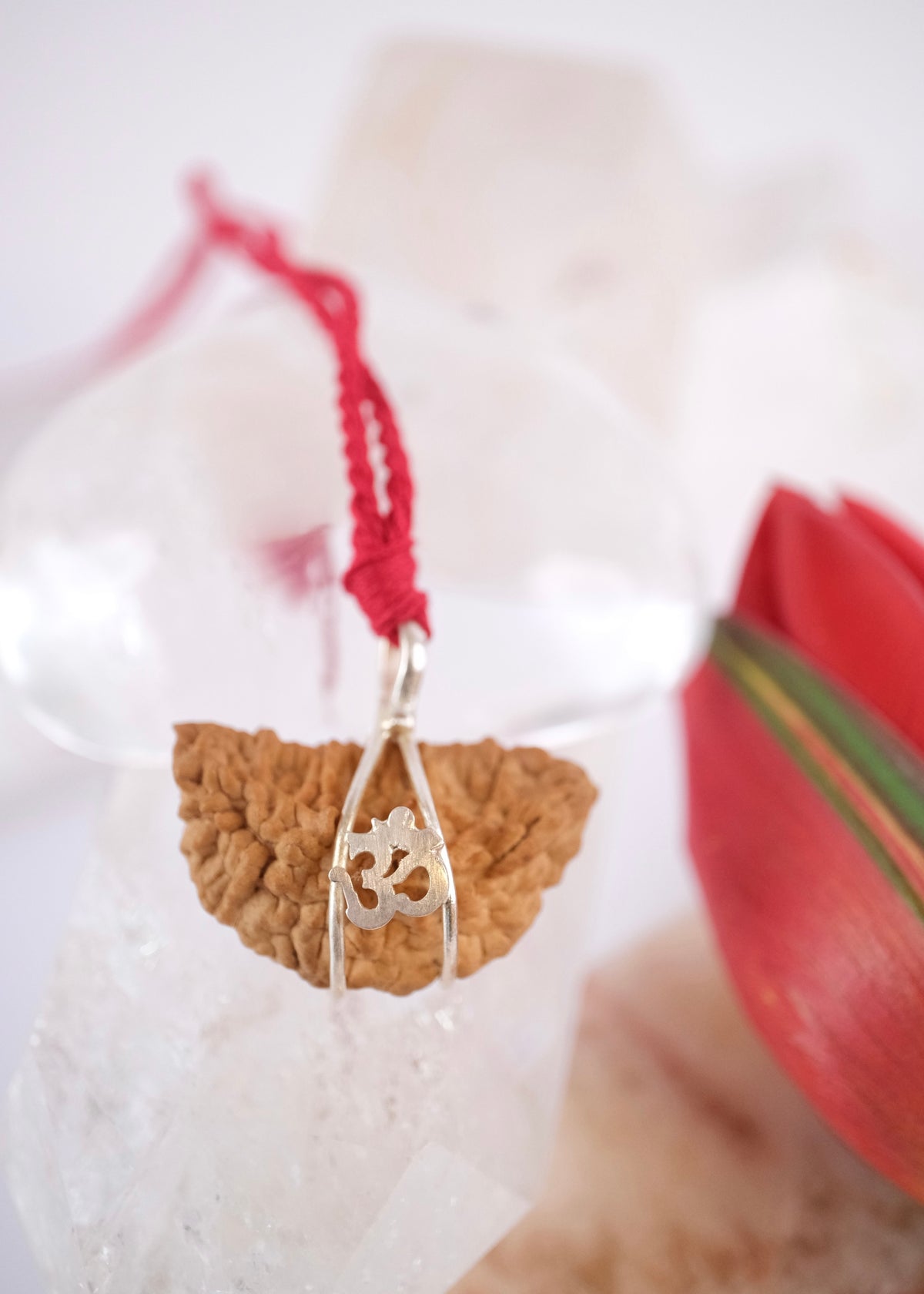 1 Mukhi OM Sterling Silver Collectors Rudraksha Pendant | SHIVA Consciousness &amp; Liberation