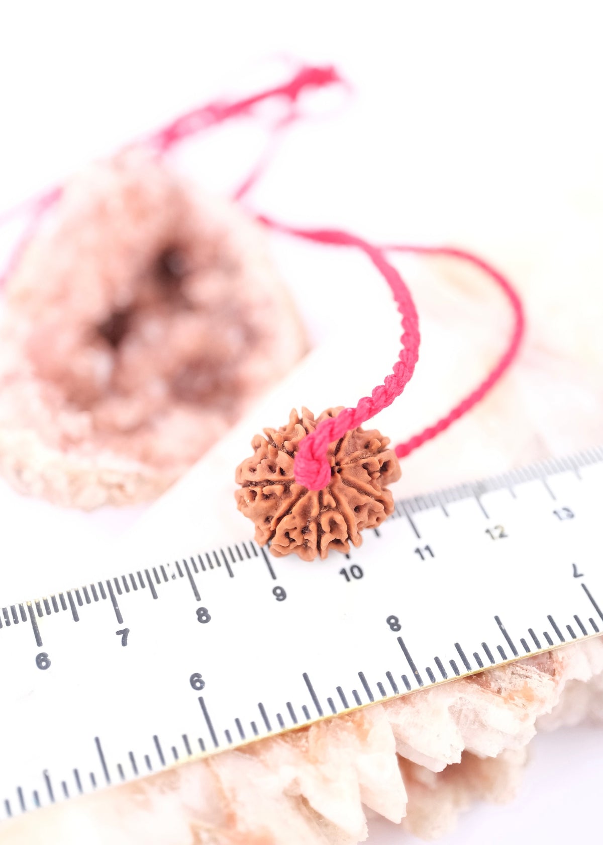 9 Mukhi Collectors Nepal Rudraksha