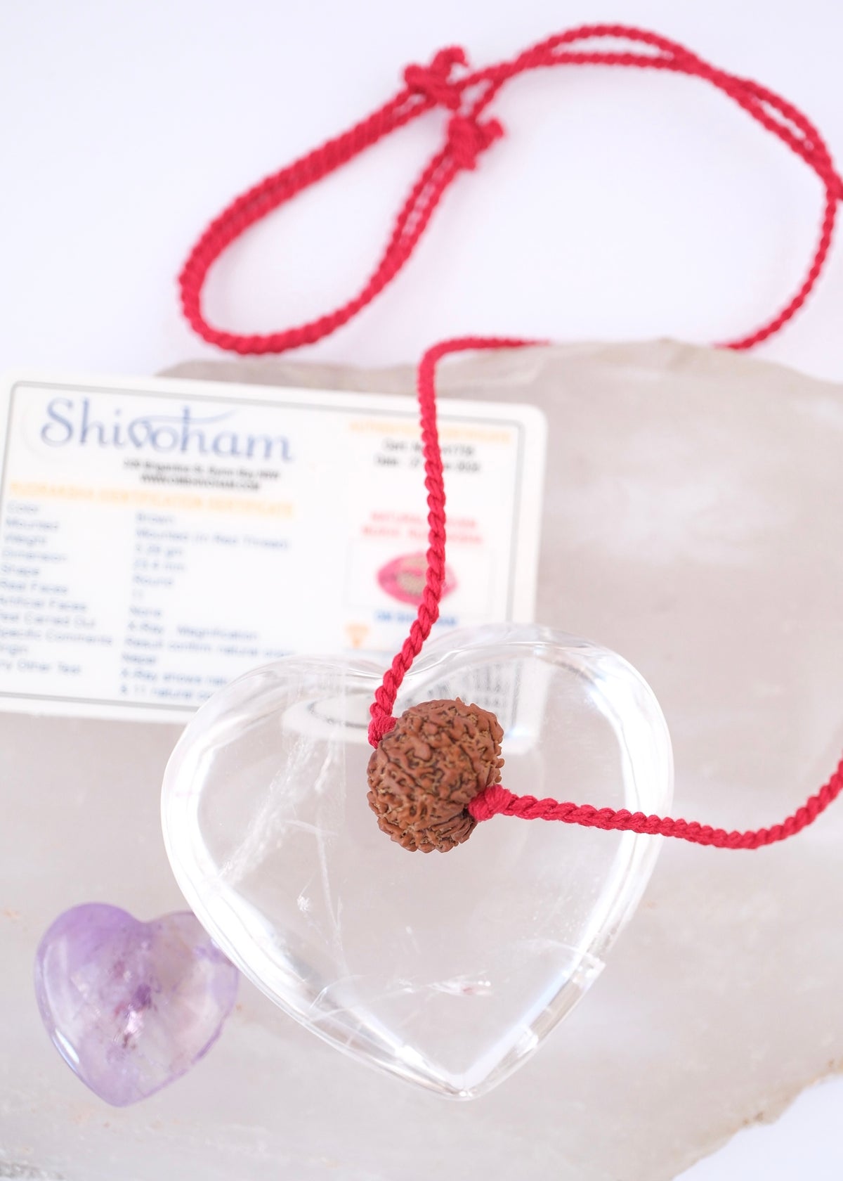 11 Mukhi Collectors Nepal Rudraksha | HANUMAN Virtue &amp; Immense Protection.