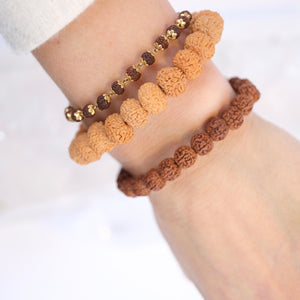 TEMPLE Collection: Riddhi Siddhi GANAPATI | Finest Indonesian 8 Mukhi Rudraksha Bracelet