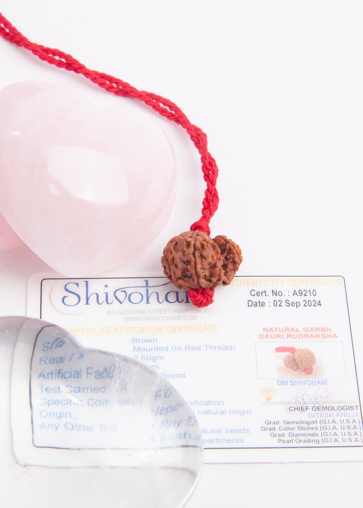 Garbh Gauri Rudraksha | Rare Collectors Nepal bead