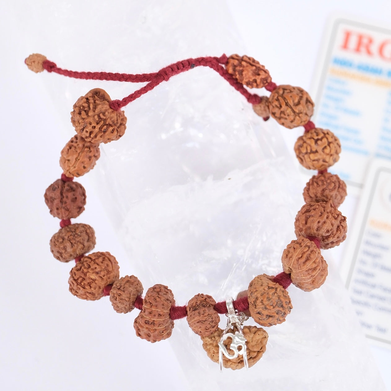 SIDDHA Bracelet | 1-14 Mukhi, Ganesh & Gauri Shankar, Indonesian premium Rudraksha