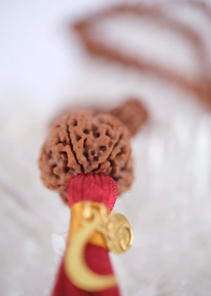 TEMPLE Collection: MAHADEV | NEPAL 5 Mukhi Guru bead, large 10mm premium Rudraksha Mala