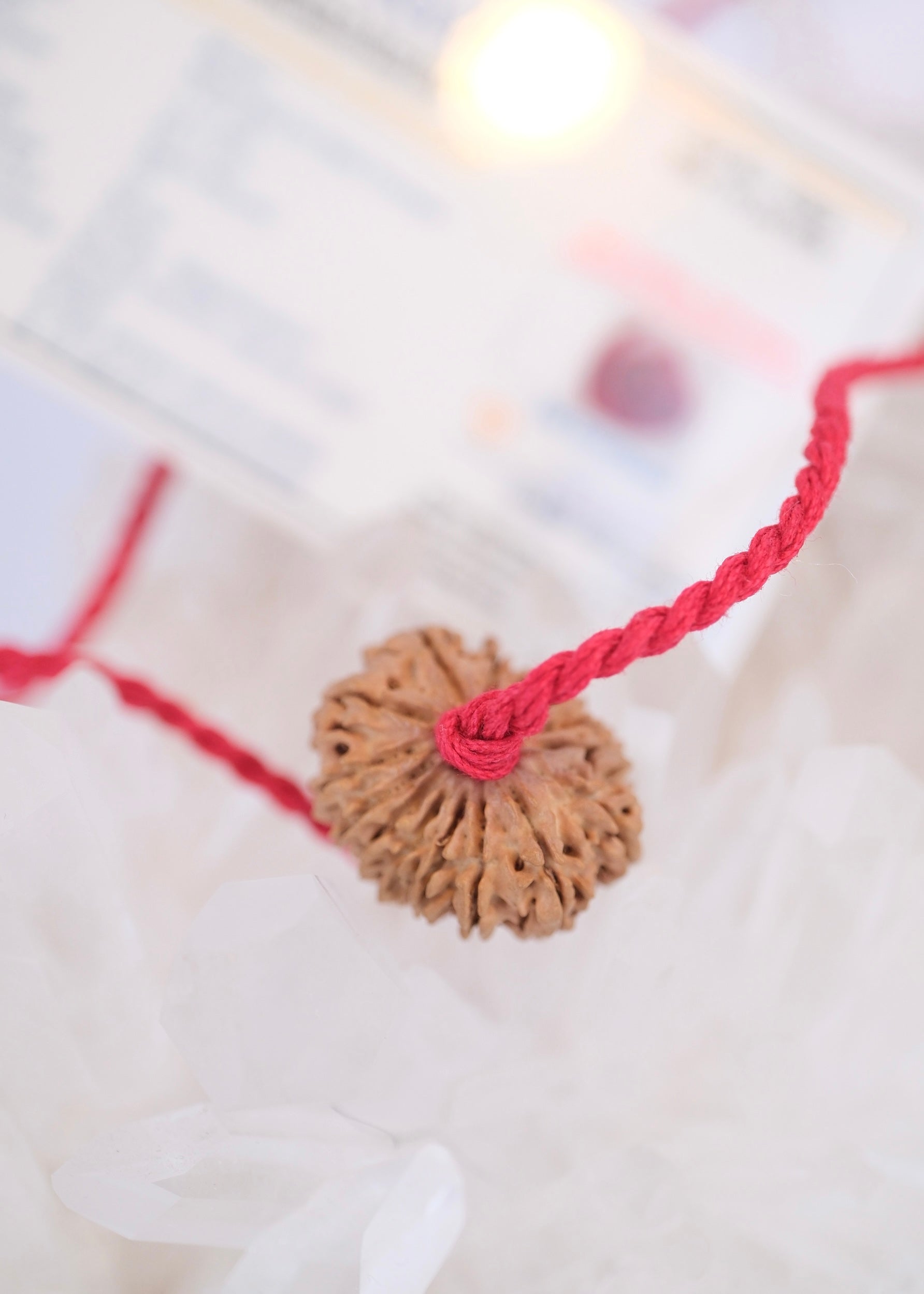 15 Mukhi Collectors Nepal Rudraksha | Anahata Chakra HEART Centre