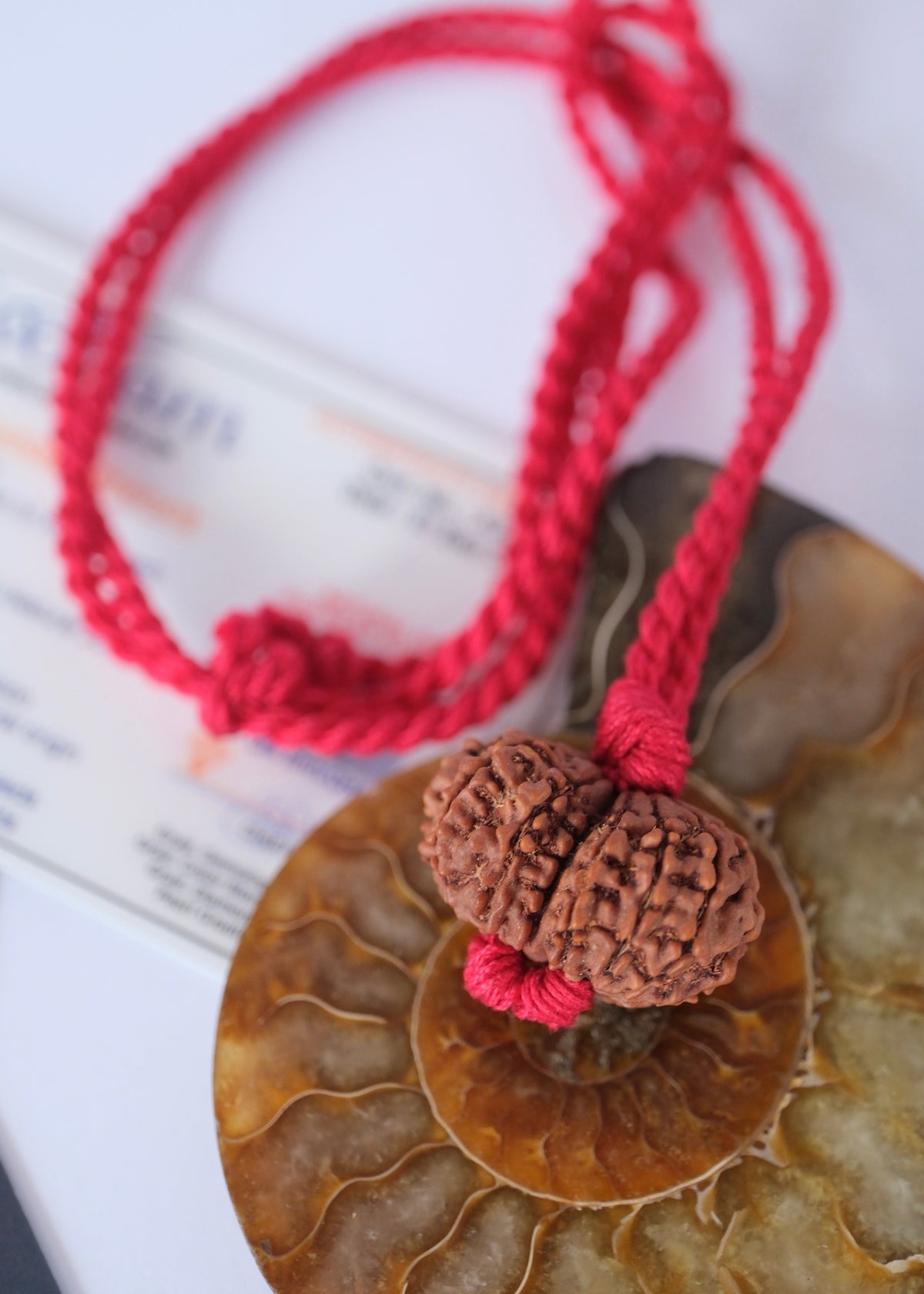 GAURI SHANKAR ‘The Sacred Union of Shiva and Shakti’ Collectors Nepal Rudraksha | inner Union, Self-Realisation