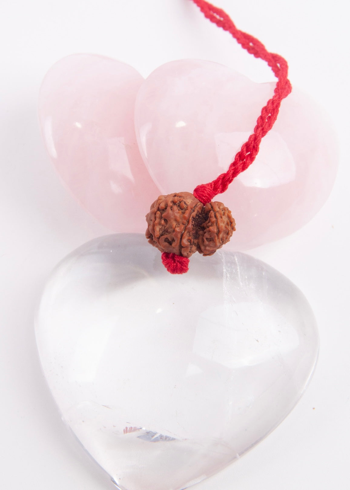 Garbh Gauri Rudraksha | Rare Collectors Nepal bead