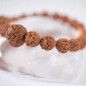 ABUNDANCE Lakshmi 7 Mukhi Guru bead & 5 face Rudraksha bracelet