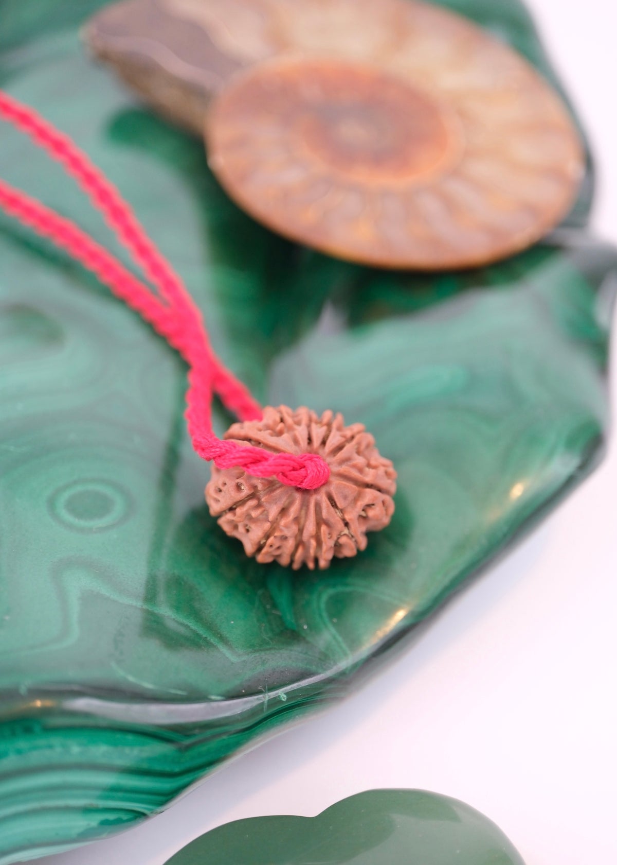 11 Mukhi Collectors Nepal Rudraksha | HANUMAN Virtue & Immense Protection.