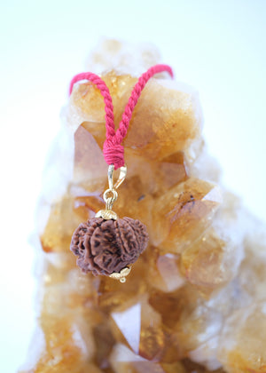 Garbh Gauri Rudraksha 18k Gold pendant | Rare Collectors Nepal bead