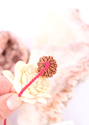 9 Mukhi Collectors Nepal Rudraksha
