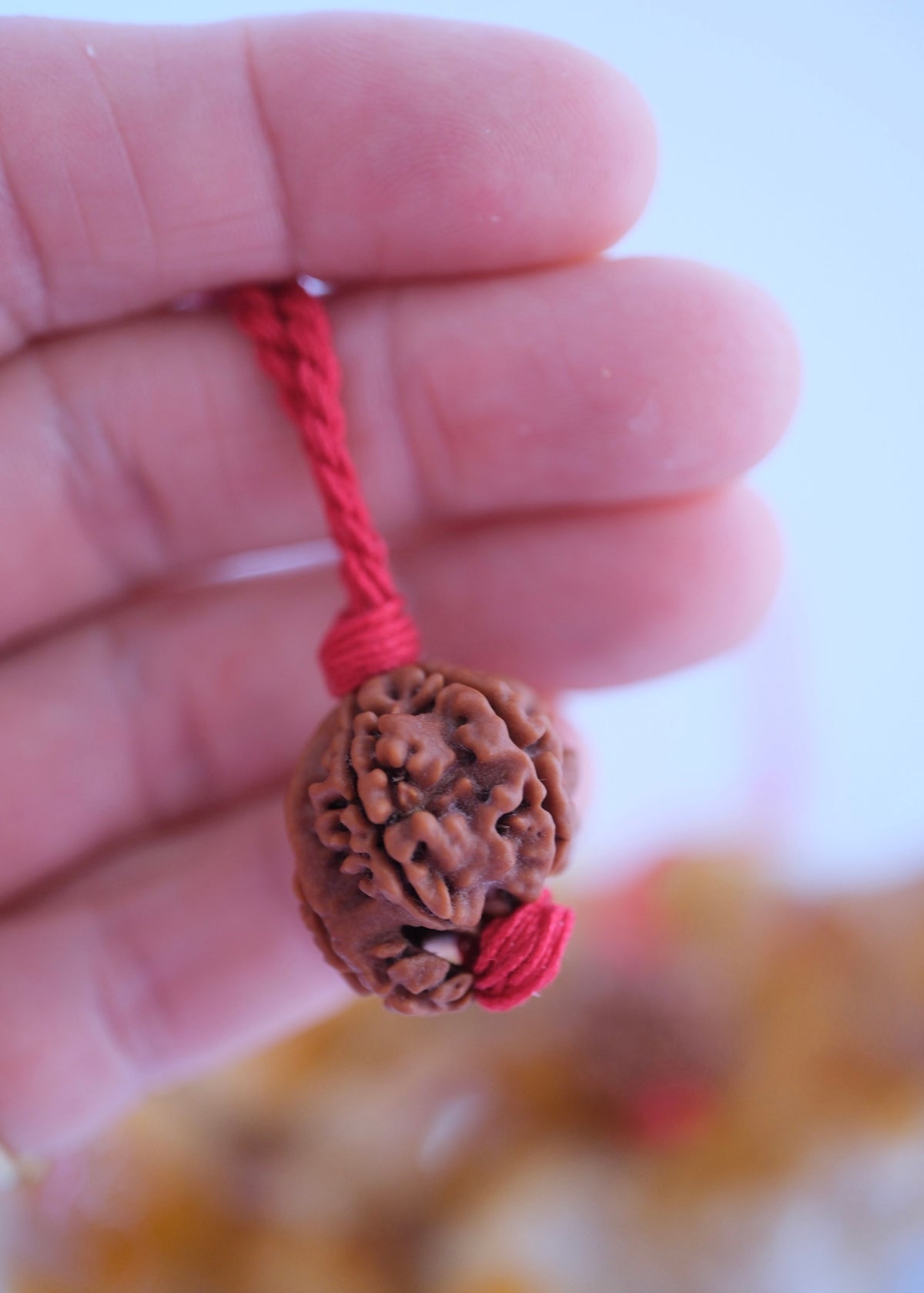 Rare Ganesh Rudraksha pendant on adjustable handwoven red thread
Original Himalayan Ganesh Rudraksha bead showing the natural trunk formation of Ganesha