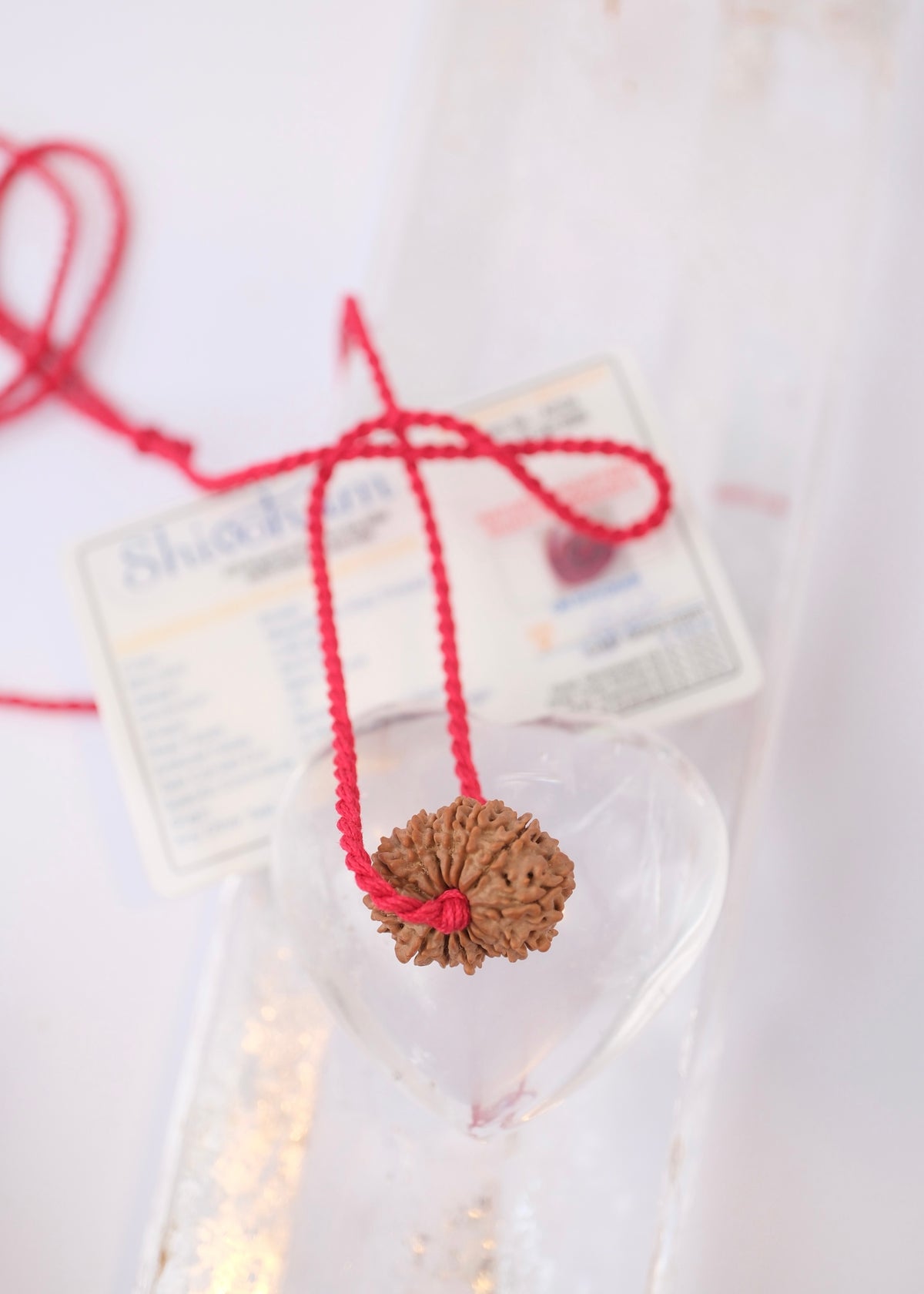14 Mukhi Collectors Nepal Rudraksha 'DEV MANI' Pendant | Prosperity in all areas, Protection SHIVA