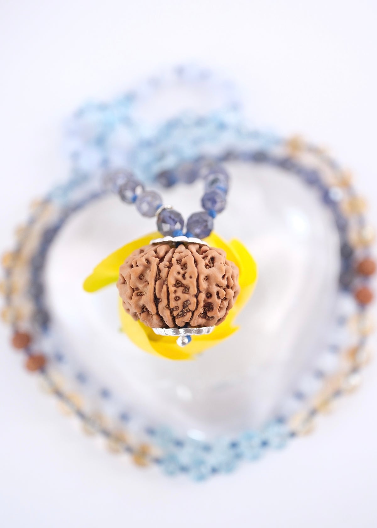 10 Mukhi Nepal Rudraksha