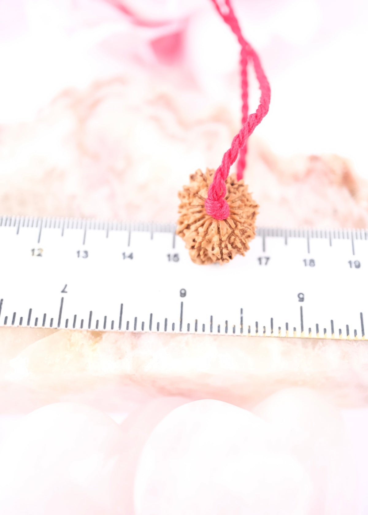15 Mukhi Collectors Nepal Rudraksha | Anahata Chakra HEART Centre