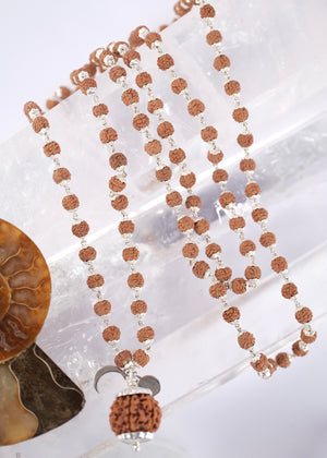 Sterling silver capped seven mukhi rudraksha