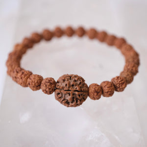 TEMPLE Collection LAKSHMI 7 Mukhi Nepal Guru bead with 7 Mukhi from Indonesia | Rudraksha bracelet