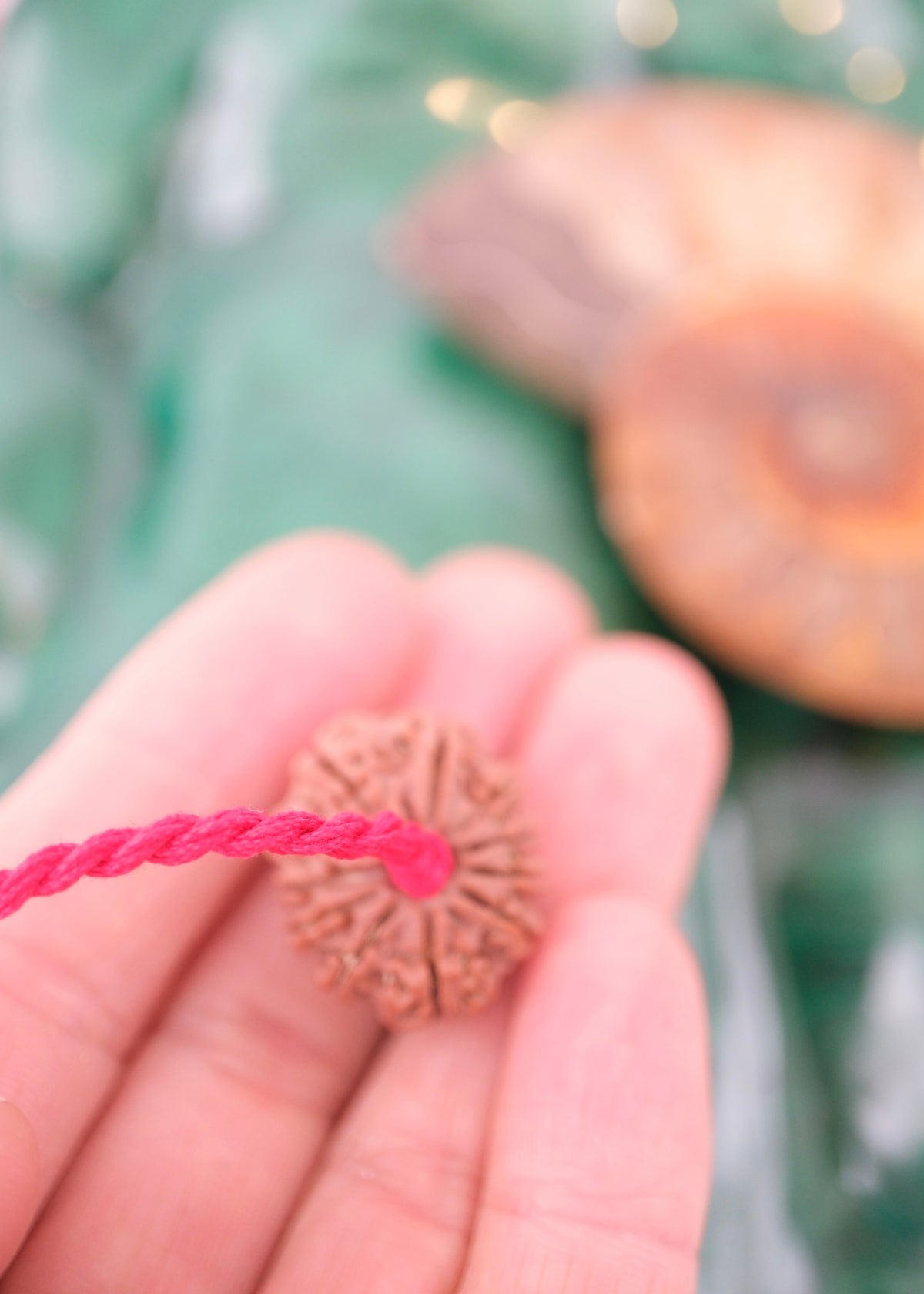 11 Mukhi Collectors Nepal Rudraksha | HANUMAN Virtue & Immense Protection.