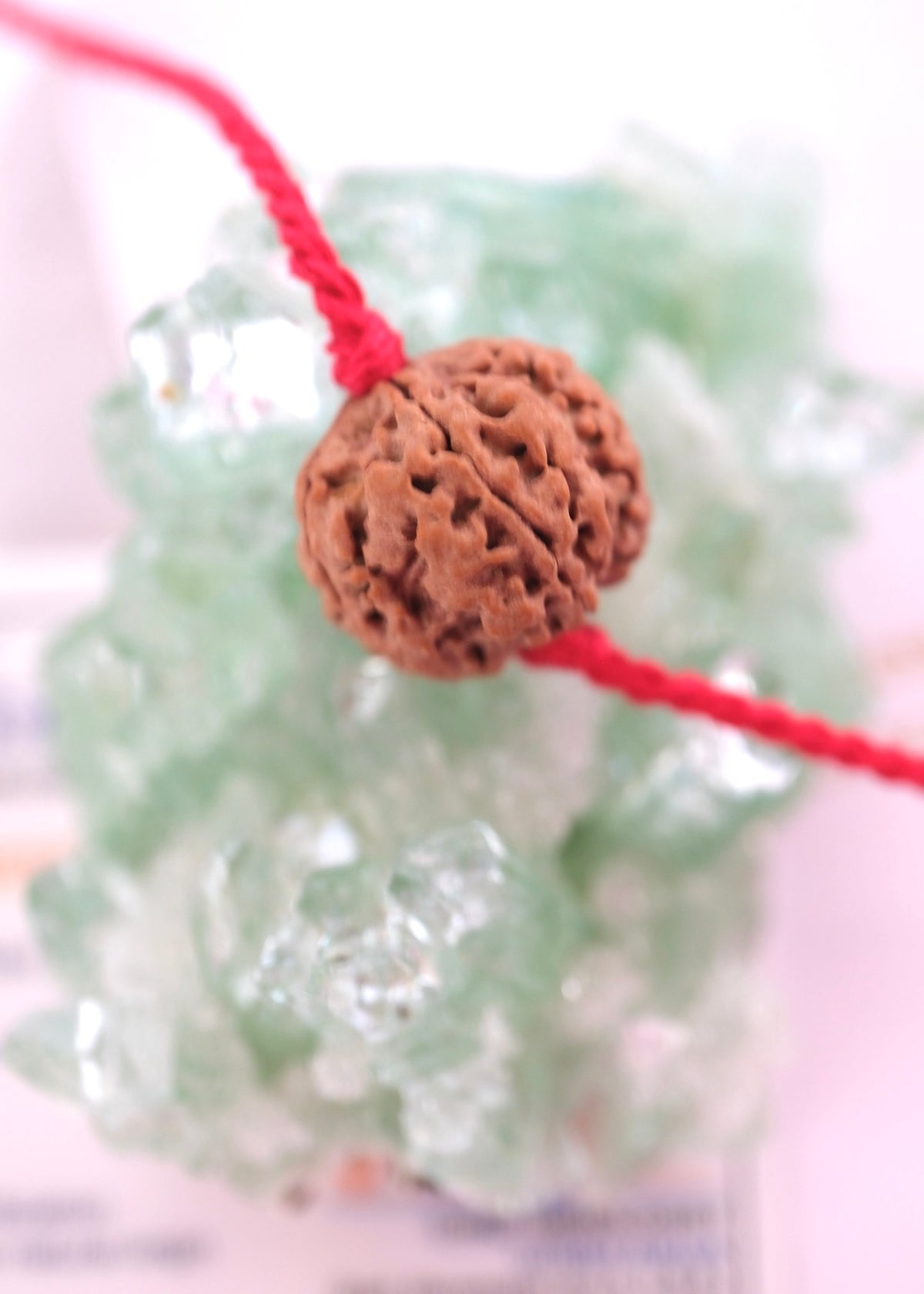 Five Mukhi Panch Mukhi Rudraksha pendant on adjustable handwoven red thread