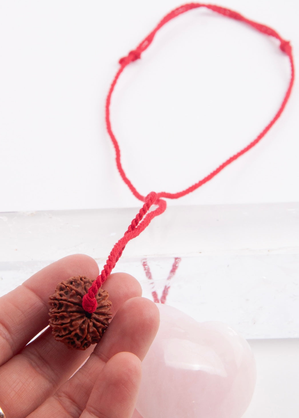 13 Mukhi Collectors Nepal Rudraksha INDRA, KAMDEV, CUPID | Love, Abundance, Charisma