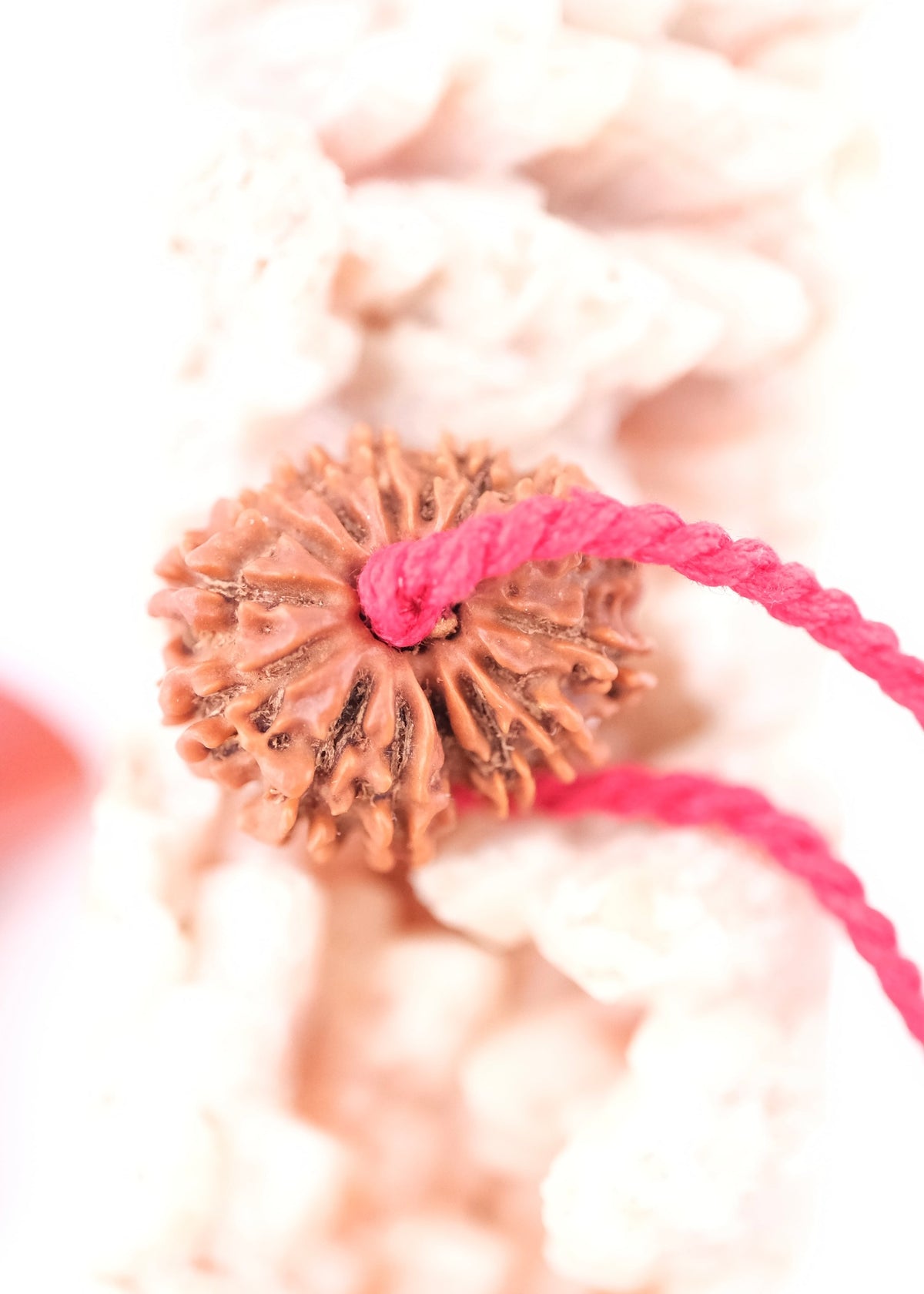 14 Mukhi Collectors Nepal Rudraksha &#39;DEV MANI&#39; Pendant | Prosperity in all areas, Protection SHIVA