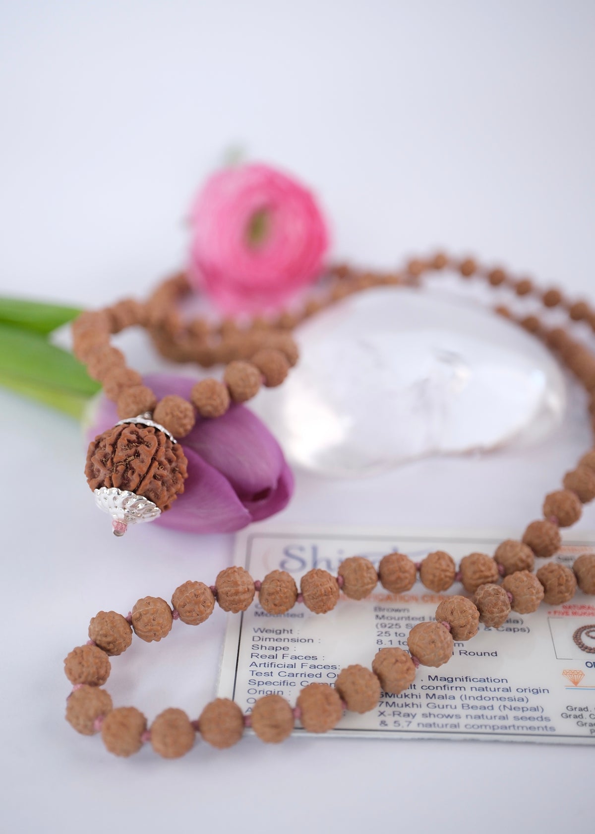MAHALAKSHMI ‘The Goddess of Abundance' Japa Mala | Nepal 7 Mukhi Rudraksha Guru bead
