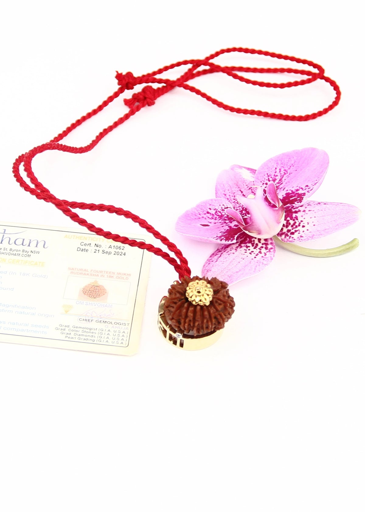 DEV MANI 14 Mukhi Collectors Nepal Rudraksha 18k Gold Pendant | Prosperity and all the God&#39;s Jewels