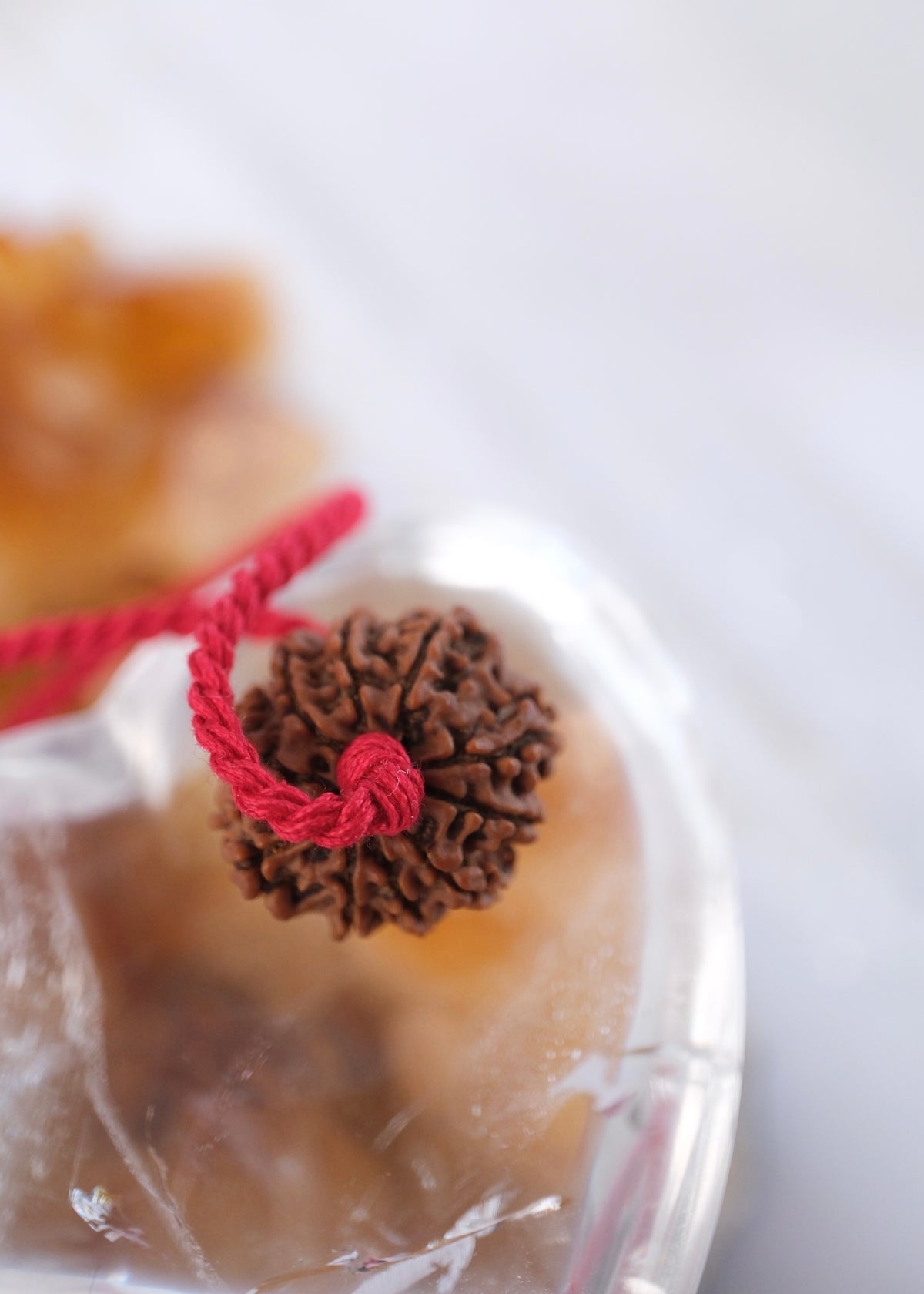 TEN Mukhi Nepal Rudraksha Pendant 'The Shield of Vishnu' | Protector of the Universe ensuring Success & Victory
