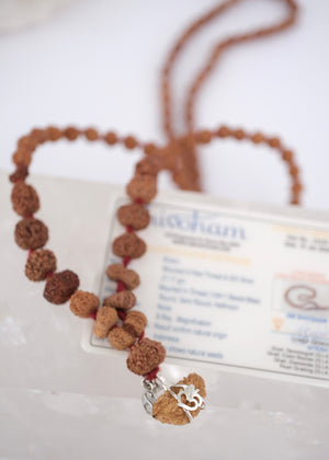 SRI OM SIDDHA MALA for Meditation, Protection & all Siddhi's | Indonesian 1 - 14 Mukhi, Ganesh, Gauri Shankar