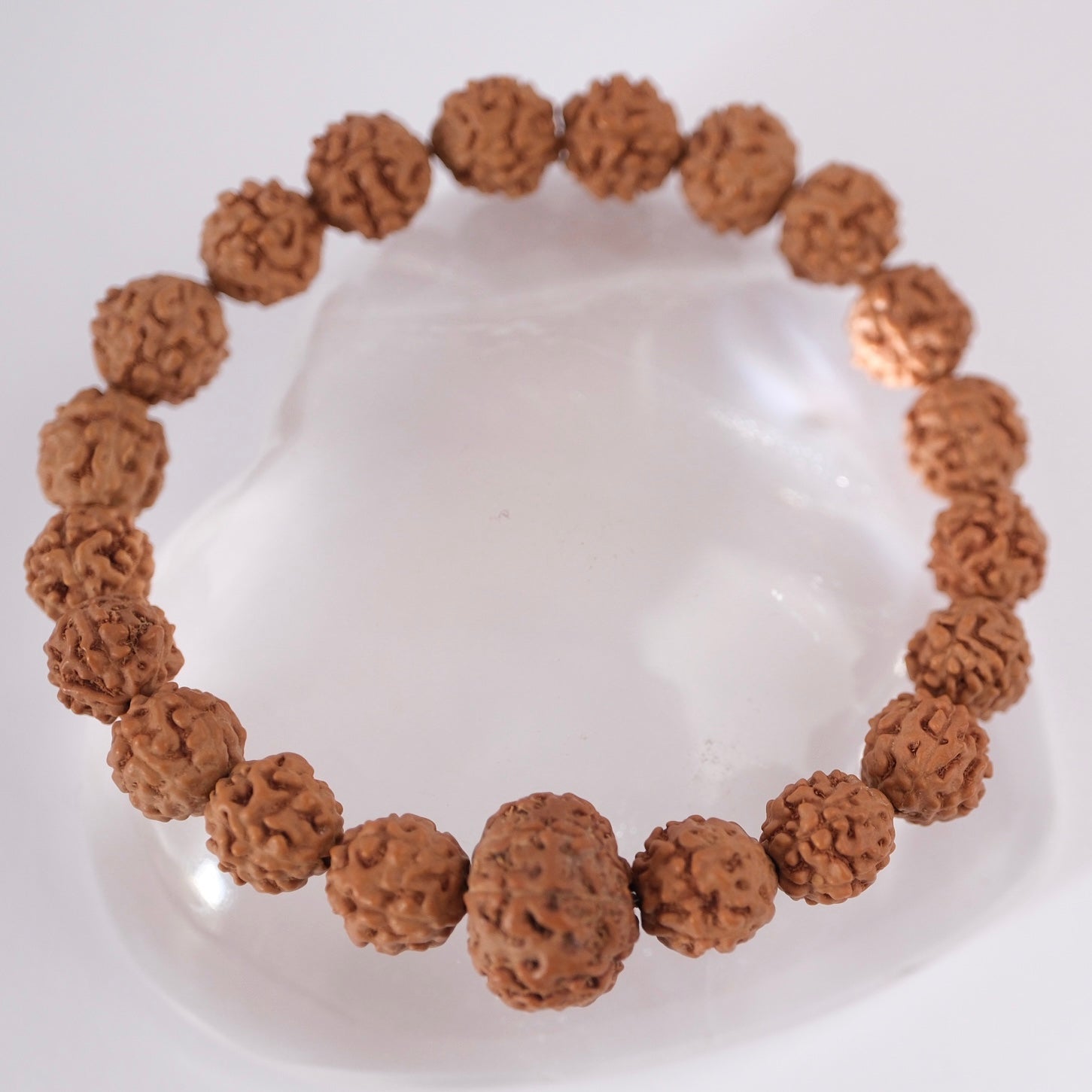 ABUNDANCE Lakshmi 7 Mukhi Guru bead & 5 face Rudraksha bracelet