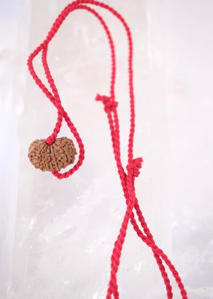 14 Mukhi Collectors Nepal Rudraksha 'DEV MANI' Pendant | Prosperity in all areas, Protection SHIVA