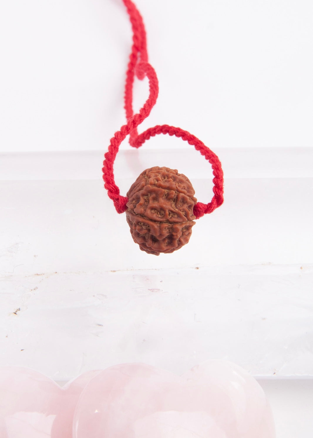 9 Mukhi Collectors Nepal Rudraksha | Goddess Durga | 9 aspects of Divine Mother SHAKTI