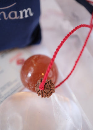 7 Mukhi Collectors Nepal Rudraksha | Abundance | Goddess Lakshmi