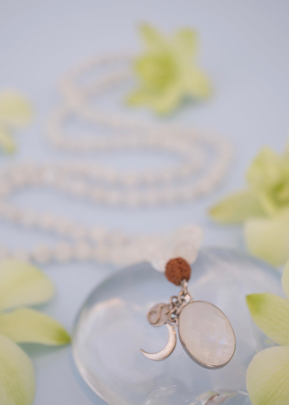 Necklace with a pendant on a light blue background with green leaves