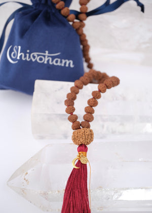 TEMPLE Collection: VISHNU Mala | Nepal 10 Mukhi Guru bead with 108 Indonesian 10 Mukhi Rudraksha