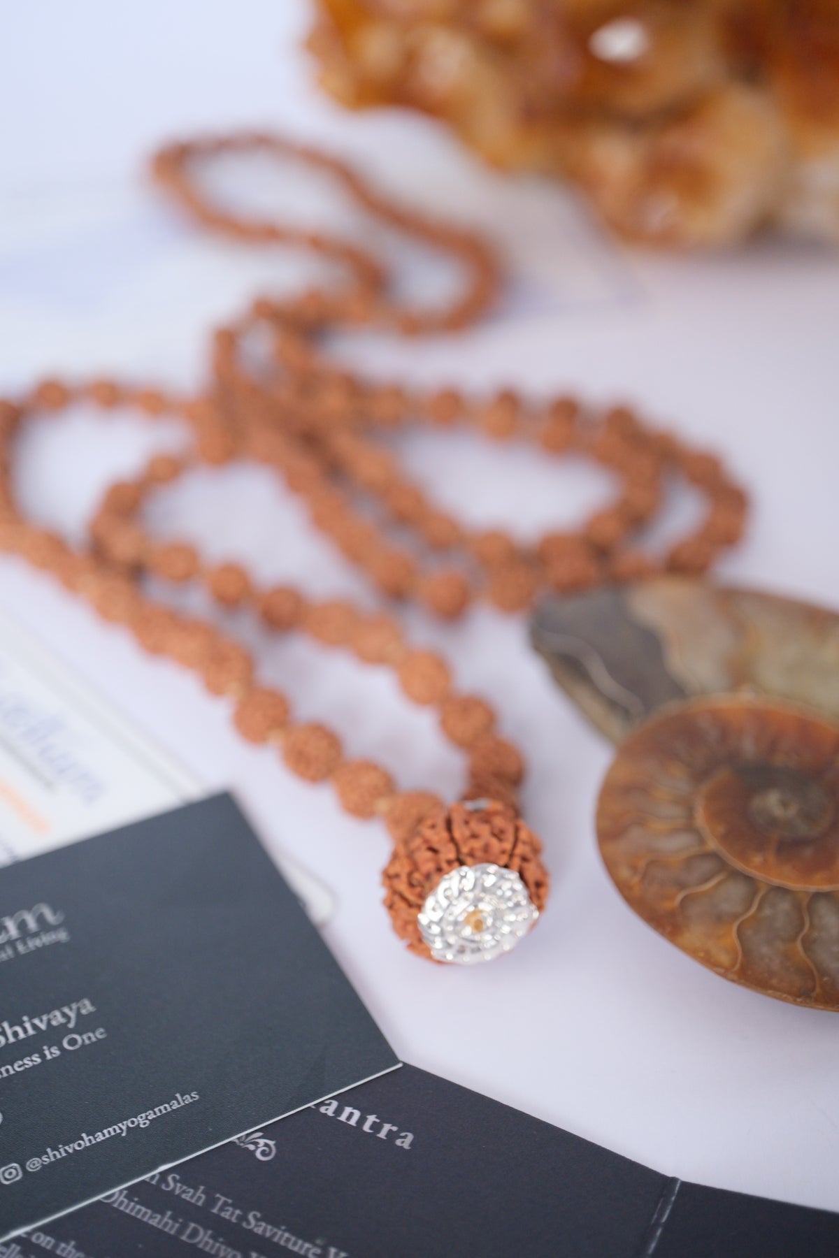 Rare Nepal six mukhi Rudraksha guru bead crowning a hand strung 108 bead five mukhi japa mala, blessed by Shivjyoti.