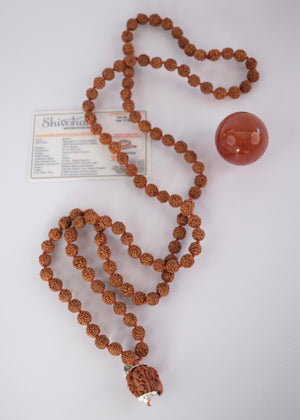 Close-up of Ganesha Rudraksha guru bead with sterling silver caps
