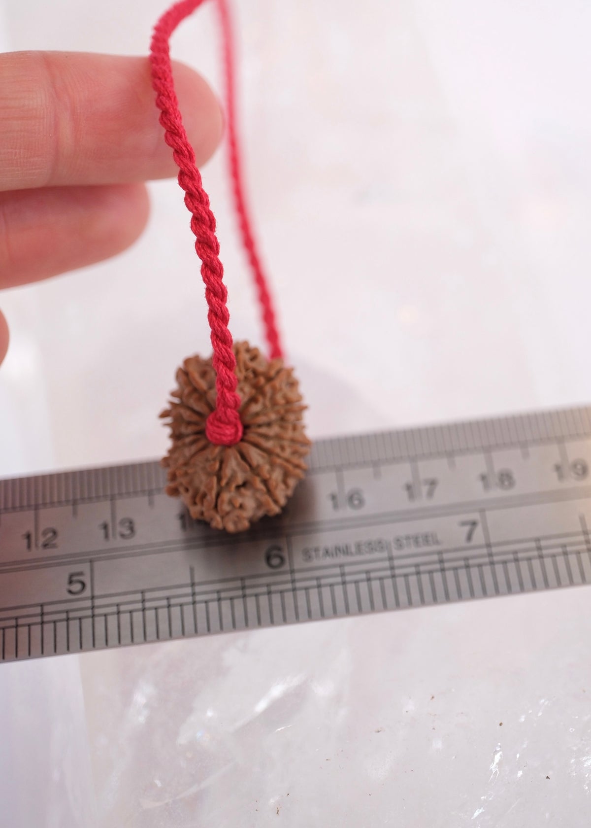 14 Mukhi Collectors Nepal Rudraksha 'DEV MANI' Pendant | Prosperity in all areas, Protection SHIVA