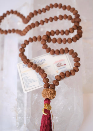 TEMPLE Collection: VISHNU Mala | Nepal 10 Mukhi Guru bead with 108 Indonesian 10 Mukhi Rudraksha