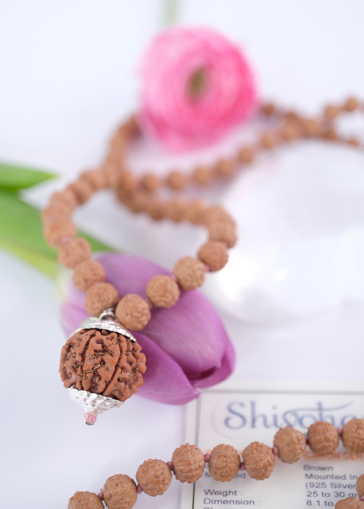 Divine Rudraksha mala Mahalakshmi seven mukhi Rudraksha japa mala with collector's quality Nepali guru bead and signed silver caps
