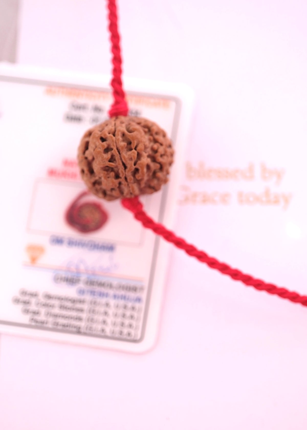 Authentic certified Himalayan five mukhi Rudraksha bead