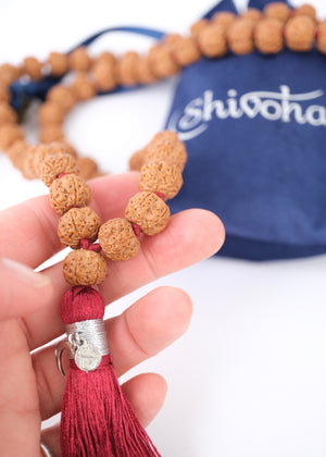 MAHA Pathri Chikna Rare Kantha Rudraksha Mala | 54 + Guru, 12.5mm of the finest Rudraksha