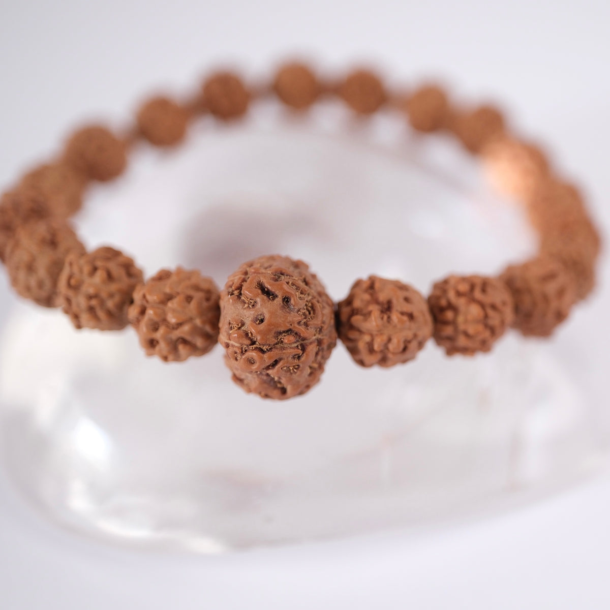 ABUNDANCE Lakshmi 7 Mukhi Guru bead & 5 face Rudraksha bracelet
