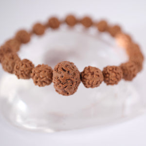 ABUNDANCE Lakshmi 7 Mukhi Guru bead & 5 face Rudraksha bracelet