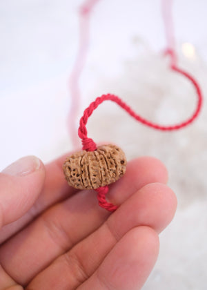 15 Mukhi Collectors Nepal Rudraksha | Anahata Chakra HEART Centre