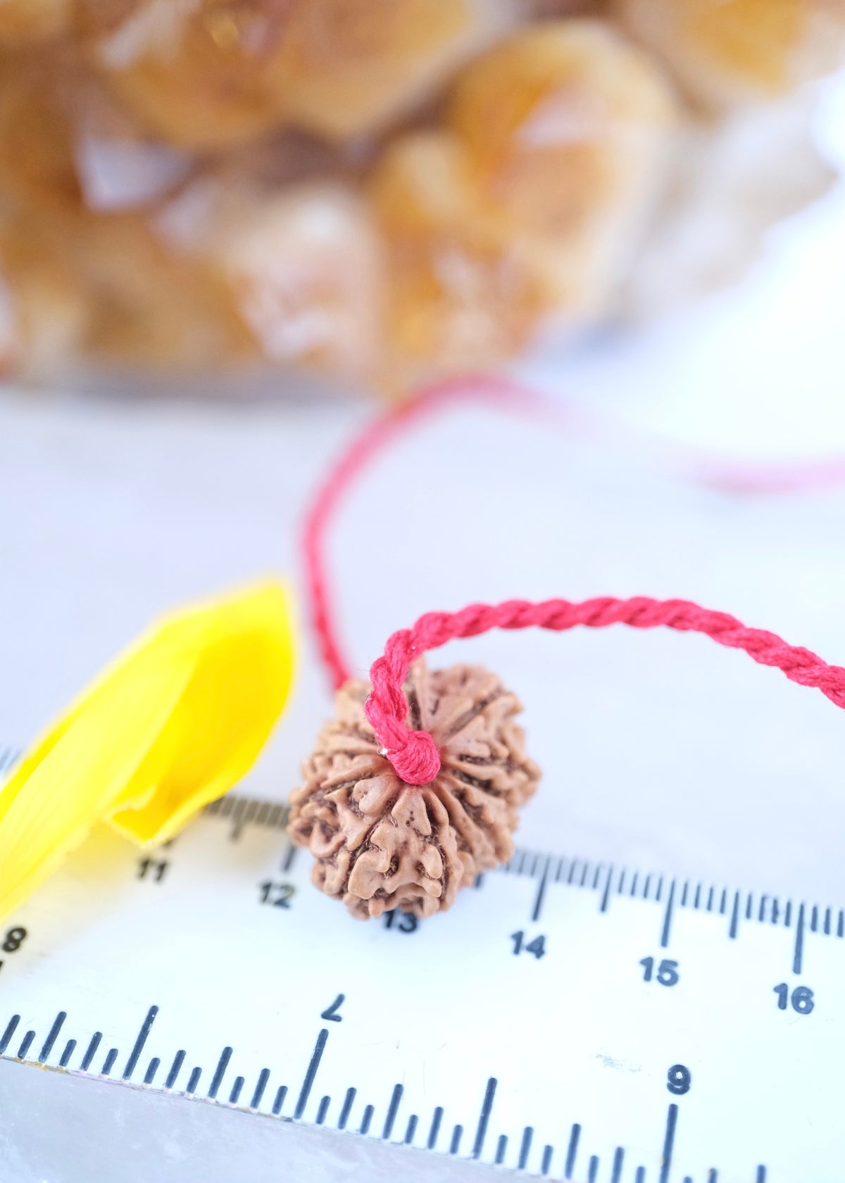 12 Mukhi Collectors Nepal Rudraksha | SURYA Sun, Vital Energy, Strength &amp; Success