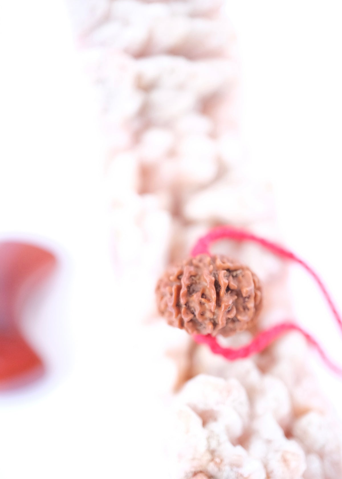 14 Mukhi Collectors Nepal Rudraksha &#39;DEV MANI&#39; Pendant | Prosperity in all areas, Protection SHIVA